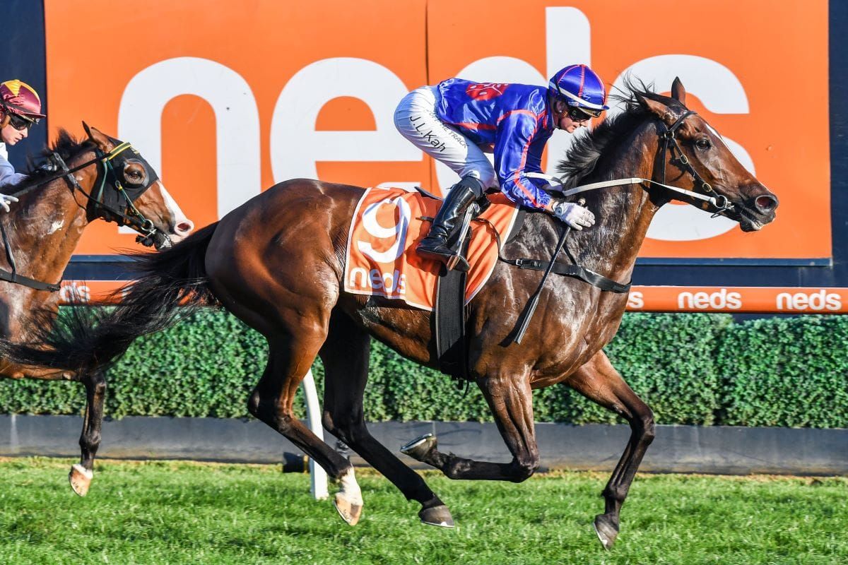 Track concern for Ayrton first-up