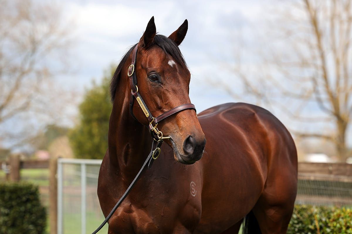 Exceptional Entriviere for sale on Gavelhouse Plus
