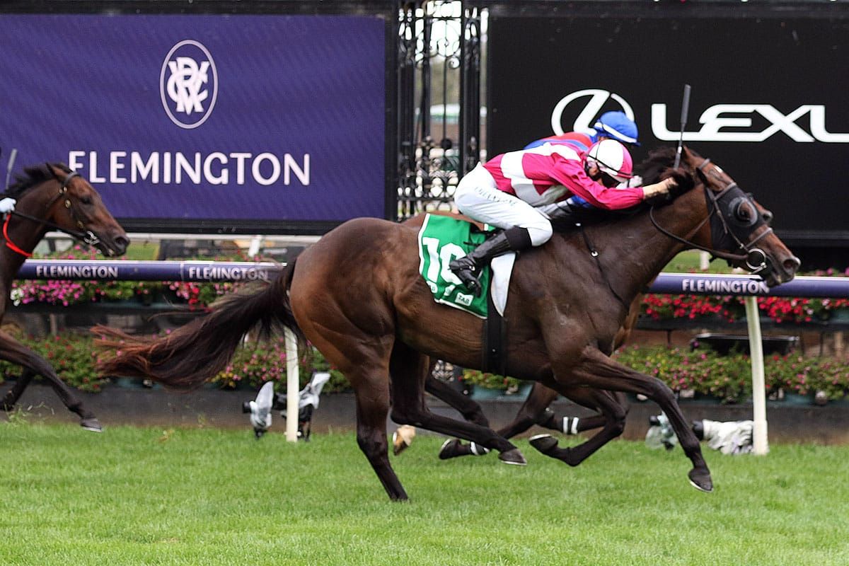 Kiwis set to fly in Turnbull