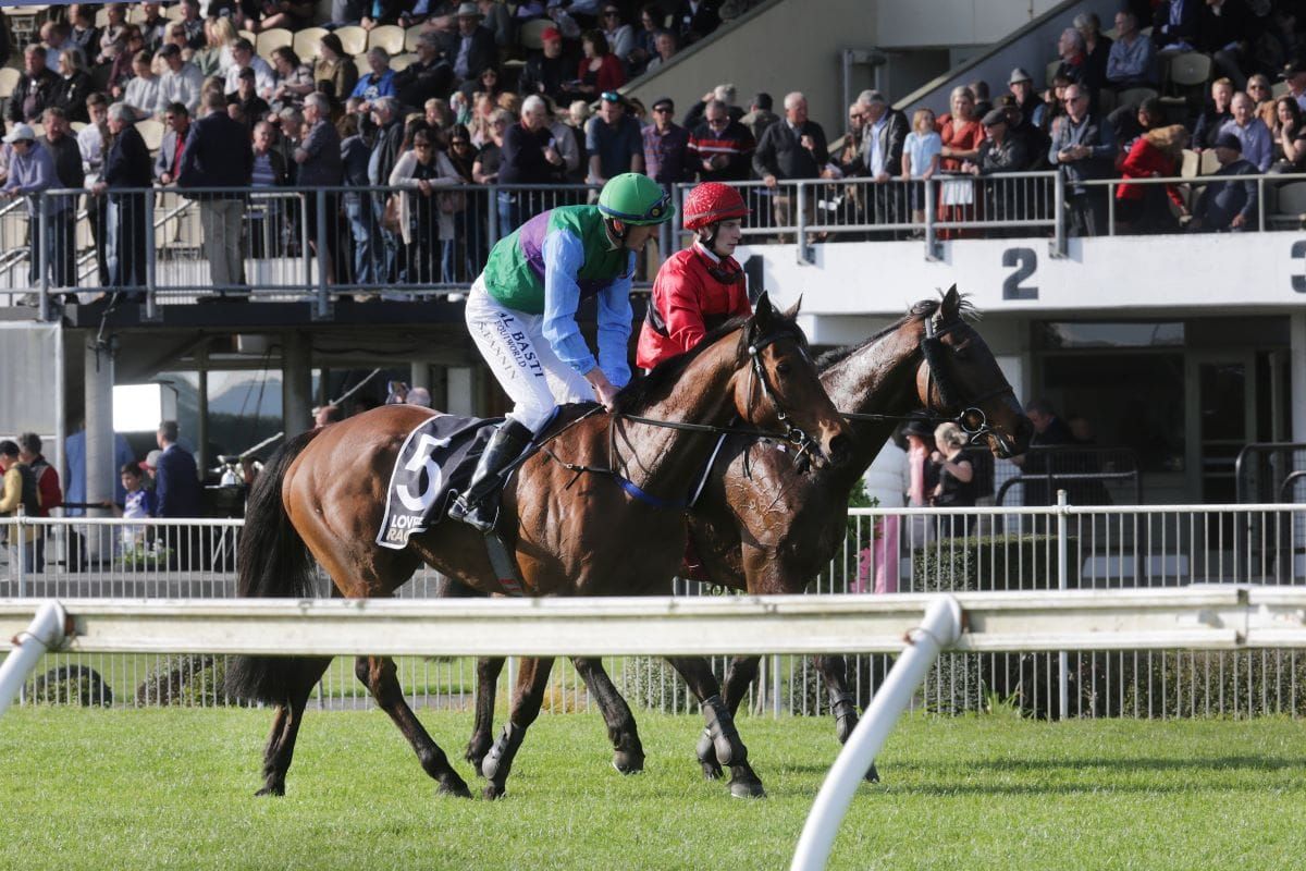 Never say die Kiddo wins Great Northern