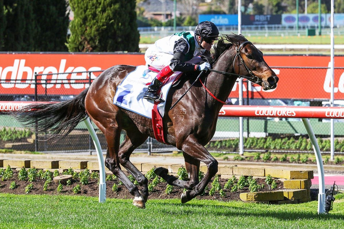 Mr Brightside gears up for Autumn