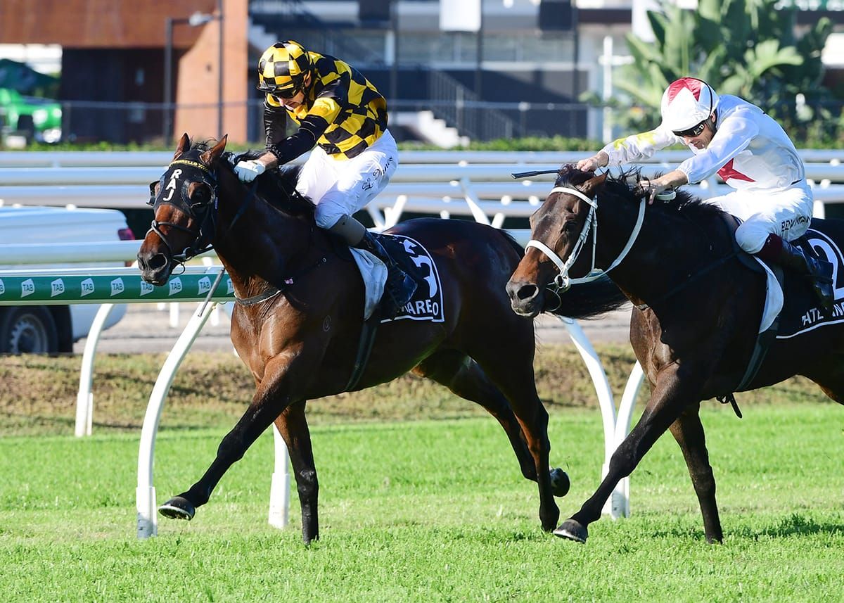 Derby winner kicks off three-start campaign