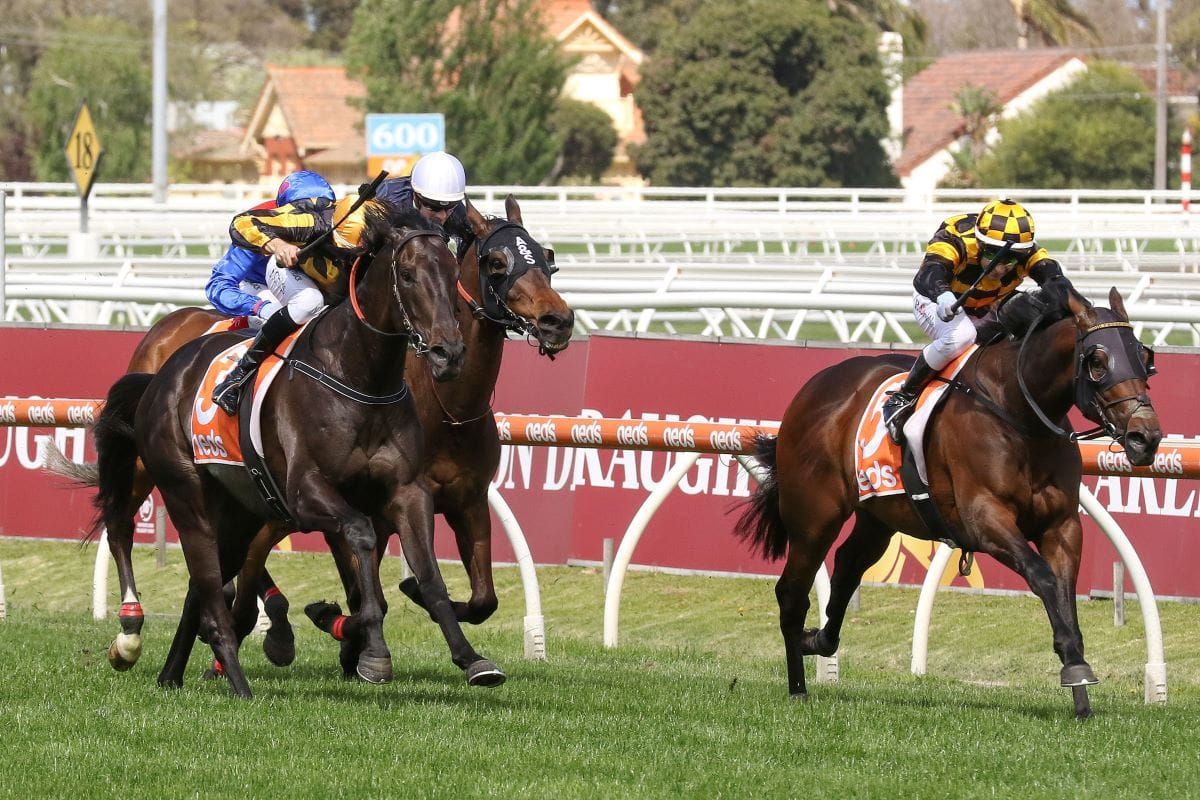 Probabeel claims second Horse of the Year title