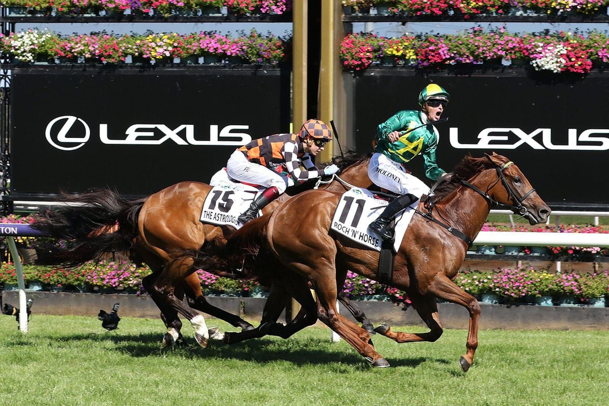 Roch ‘N’ Horse set to make Flemington return
