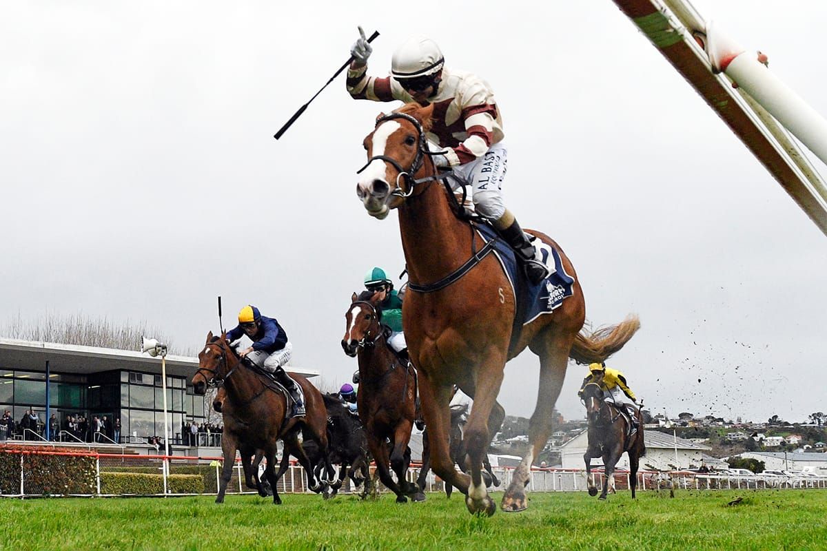 Auret runner dominates in Wanganui Guineas