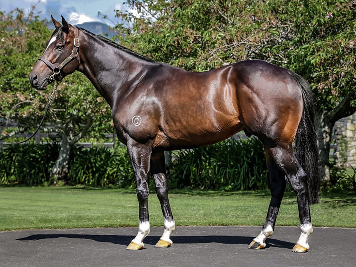 Tivaci looking to go back-to-back in Flight Stakes