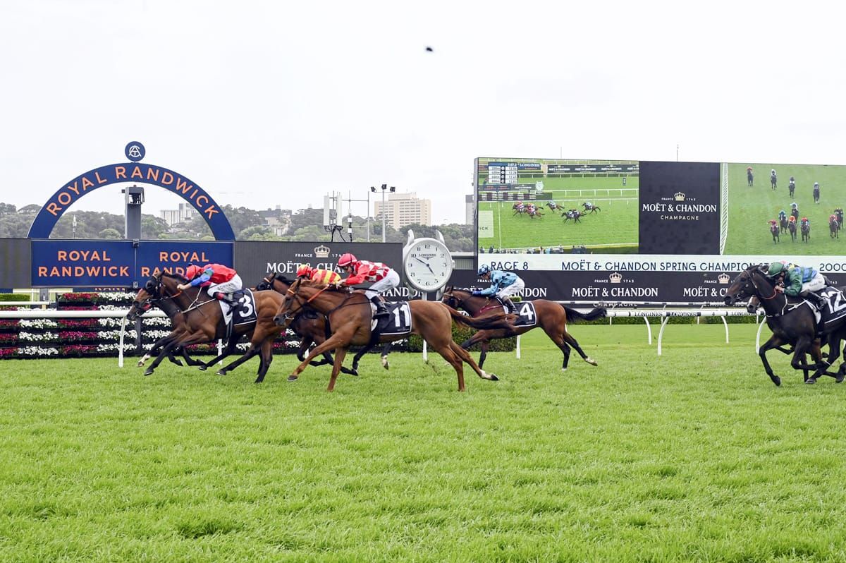 Sharp ‘N’ Smart all heart in Spring Champion