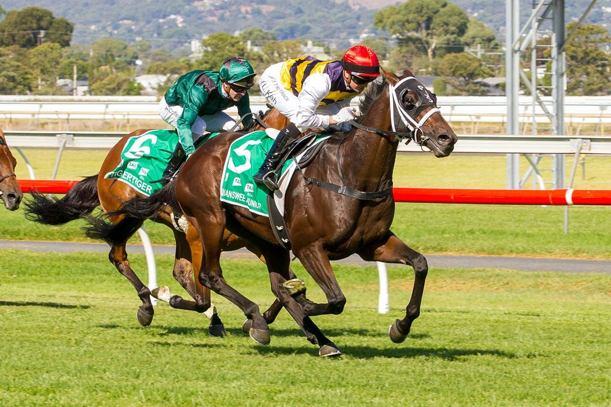 Group One target for Daqiansweet Junior