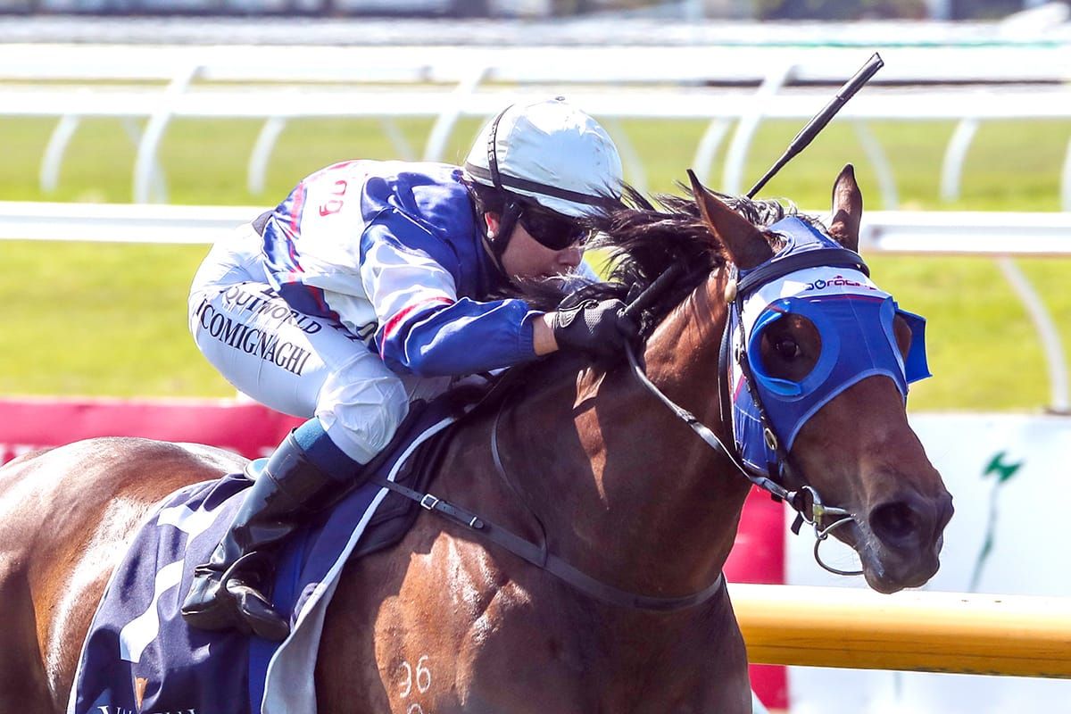No Dramas for Latta filly in War Decree Stakes