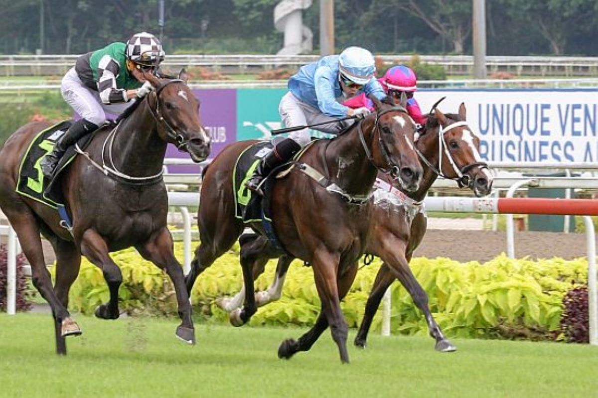 January off the mark for Logan