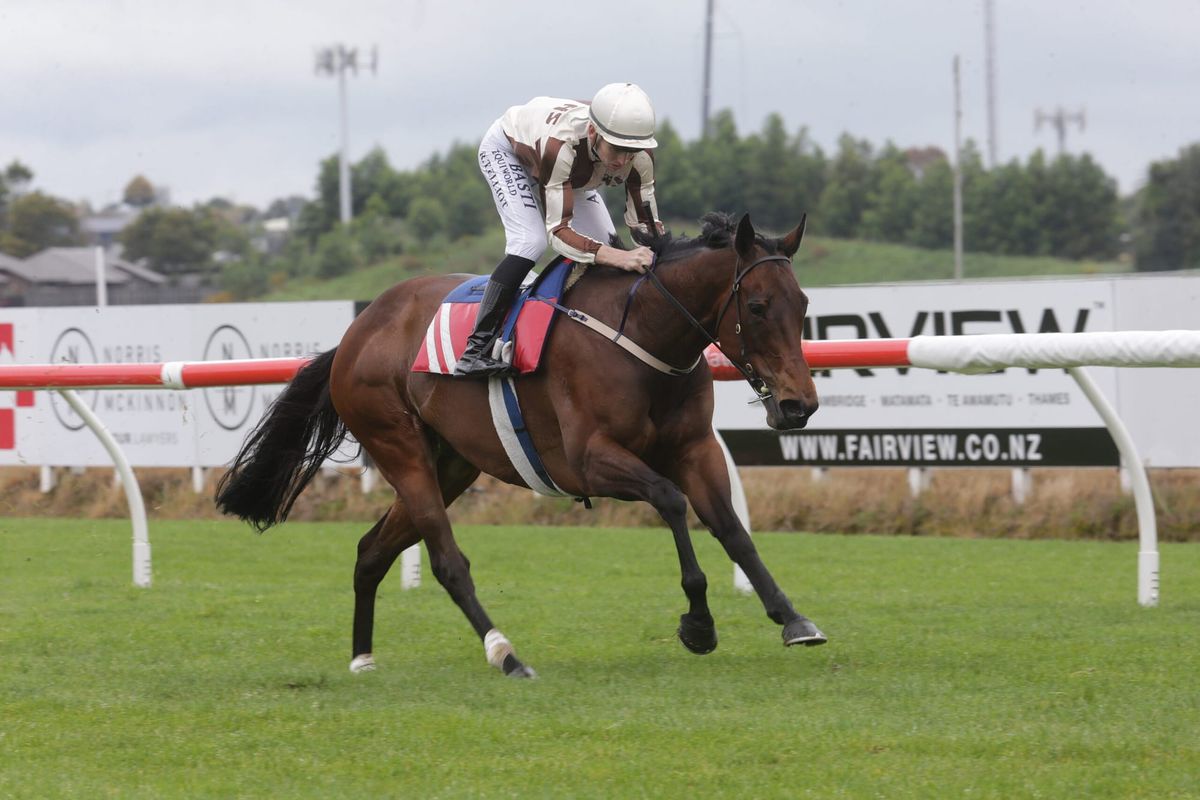 Levante on target for Flemington return
