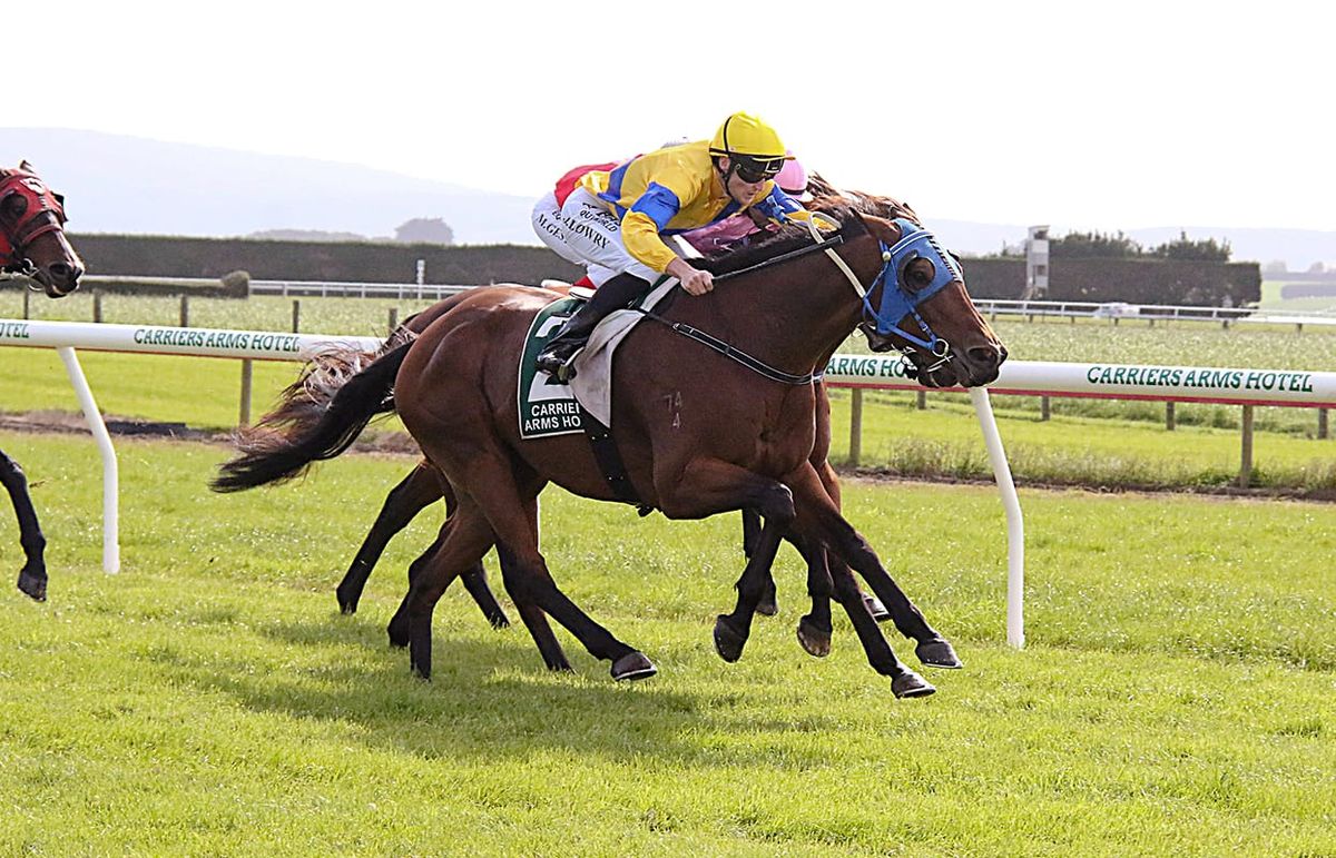 Phillips hunting third Winton Cup