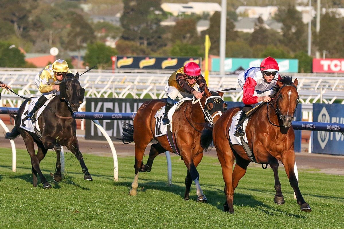 Mr Maestro completes big Flemington double for Forsman