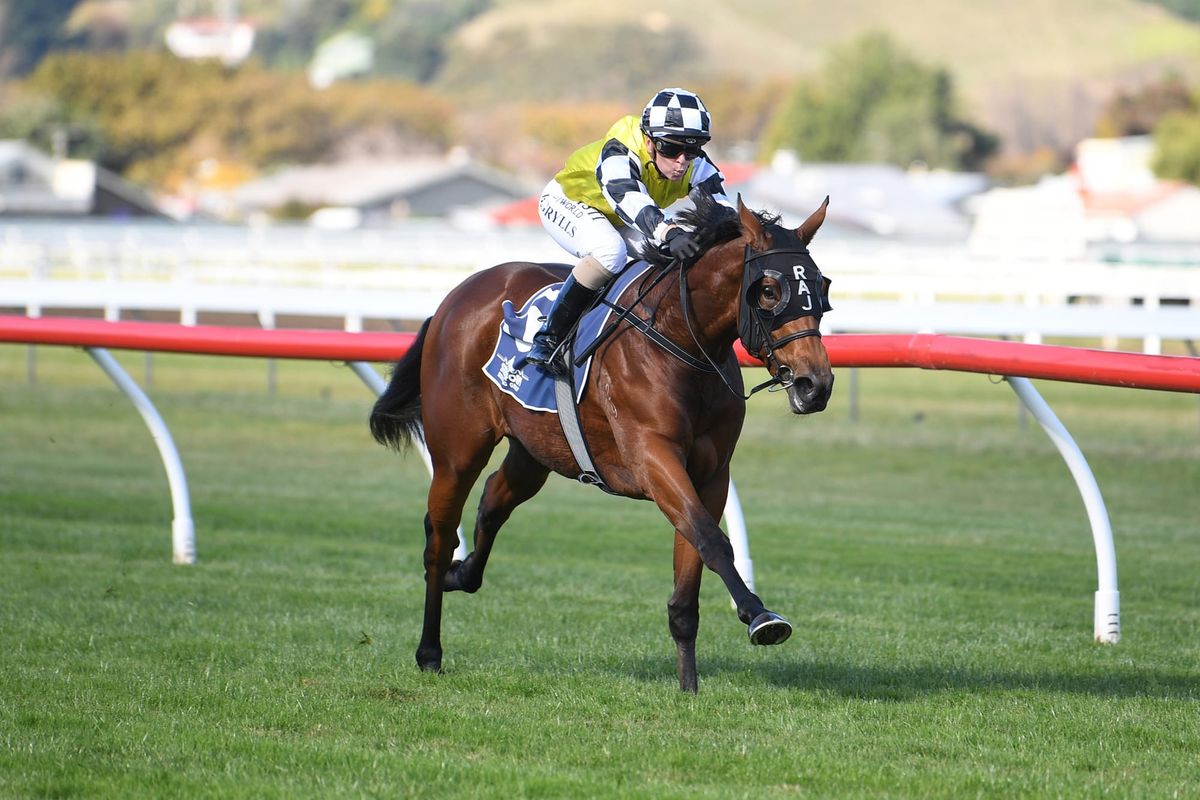 Undefeated fillies head intriguing Soliloquy