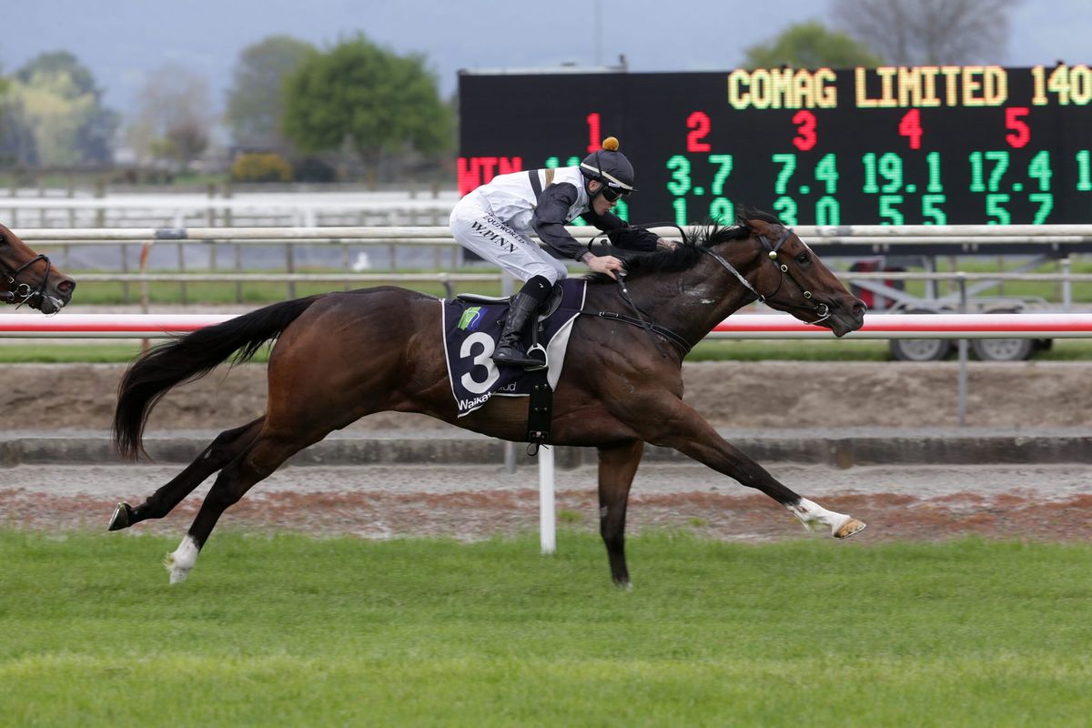 Forsman stable in intimidating form￼