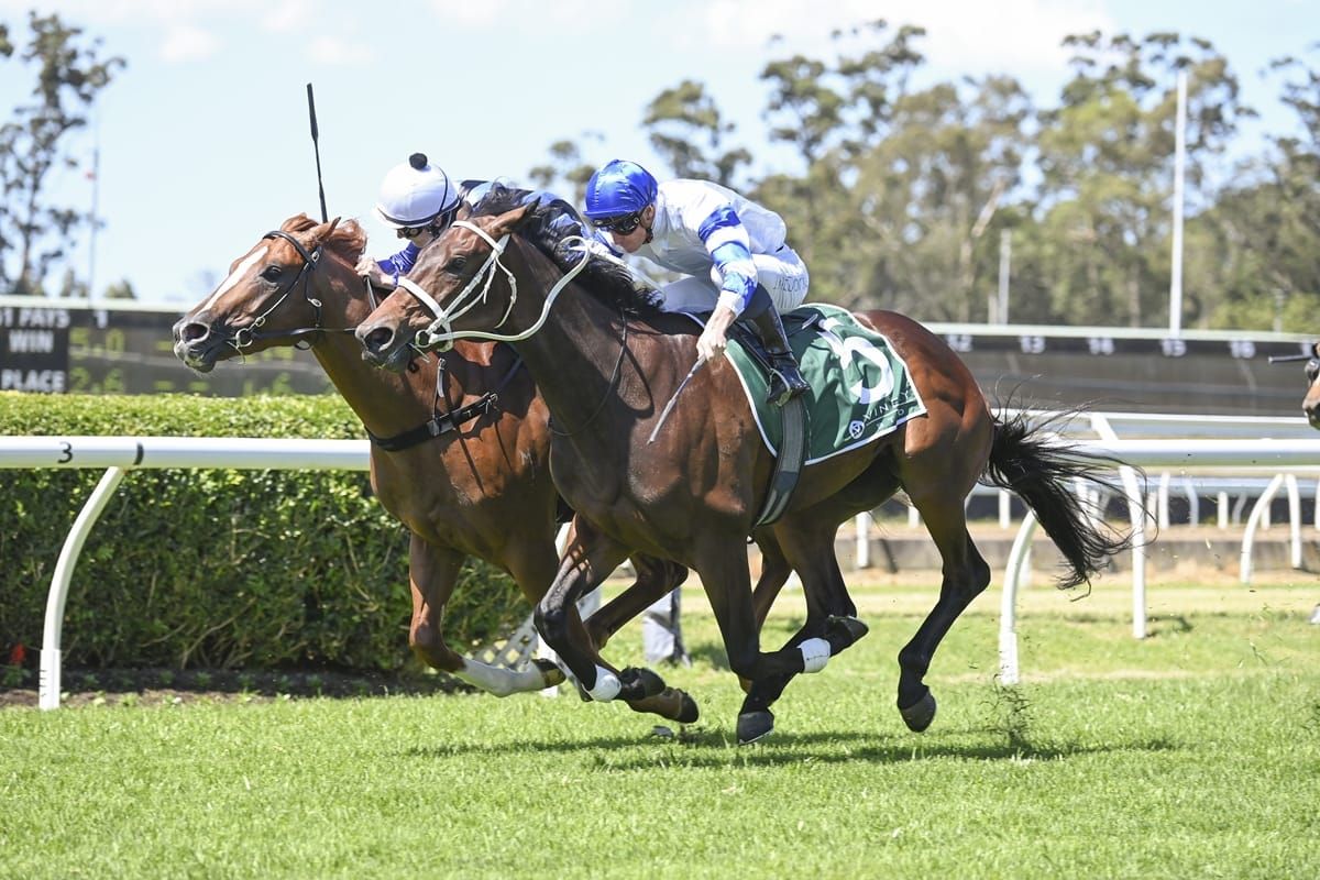 McDonald sings praises of Waller 3YO