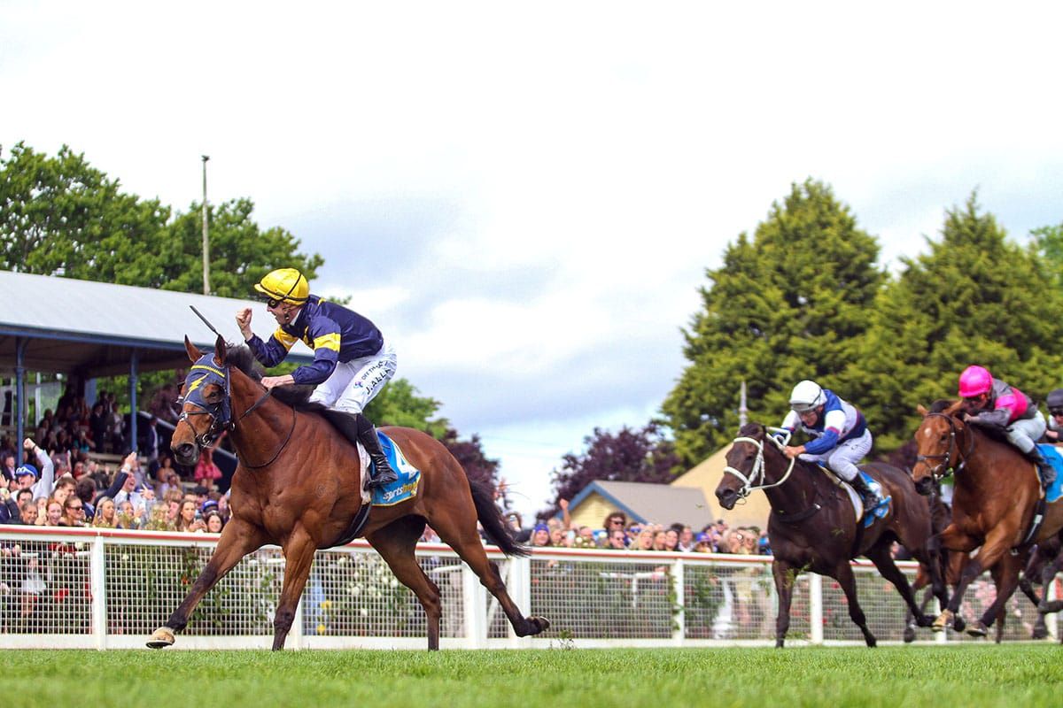 Bankers Choice lands deserved Ballarat Cup triumph