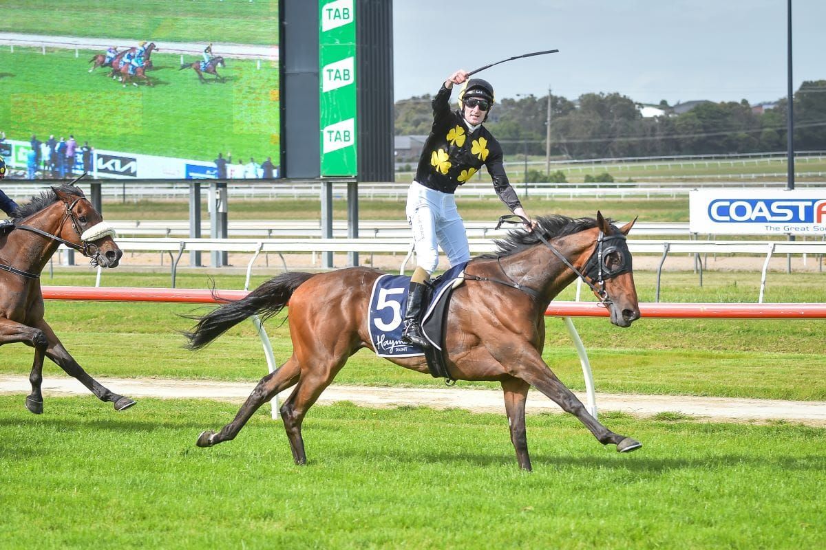 Bastida lands Jericho Cup for Kiwi connections