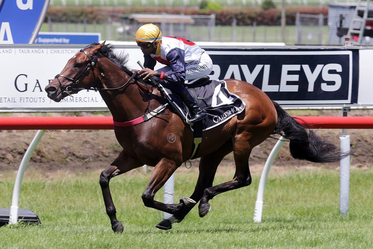 Devastate impressive in Tauranga victory