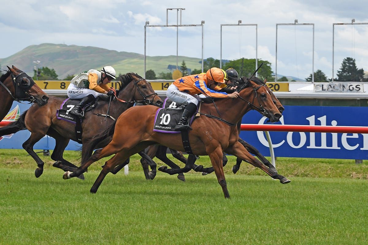 Family Ties provides timely RTR reminder