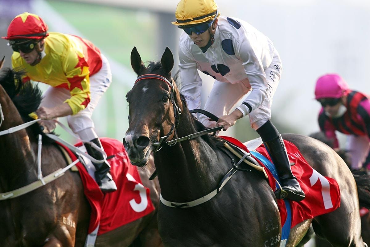 Champion Golden Sixty returns in style