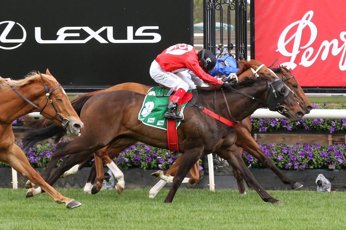 Group Two winner retired