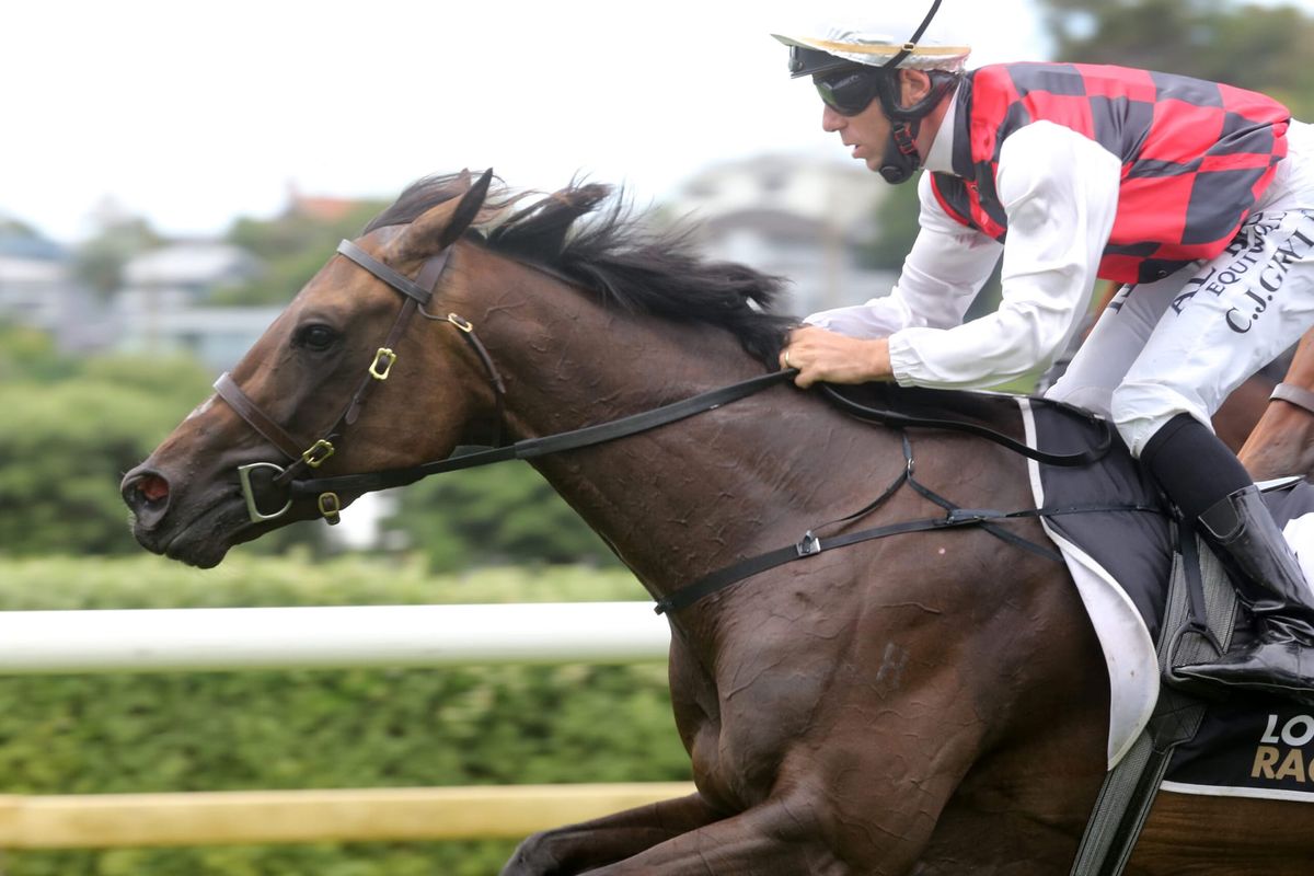Alexander learns plenty about La Crique for the future