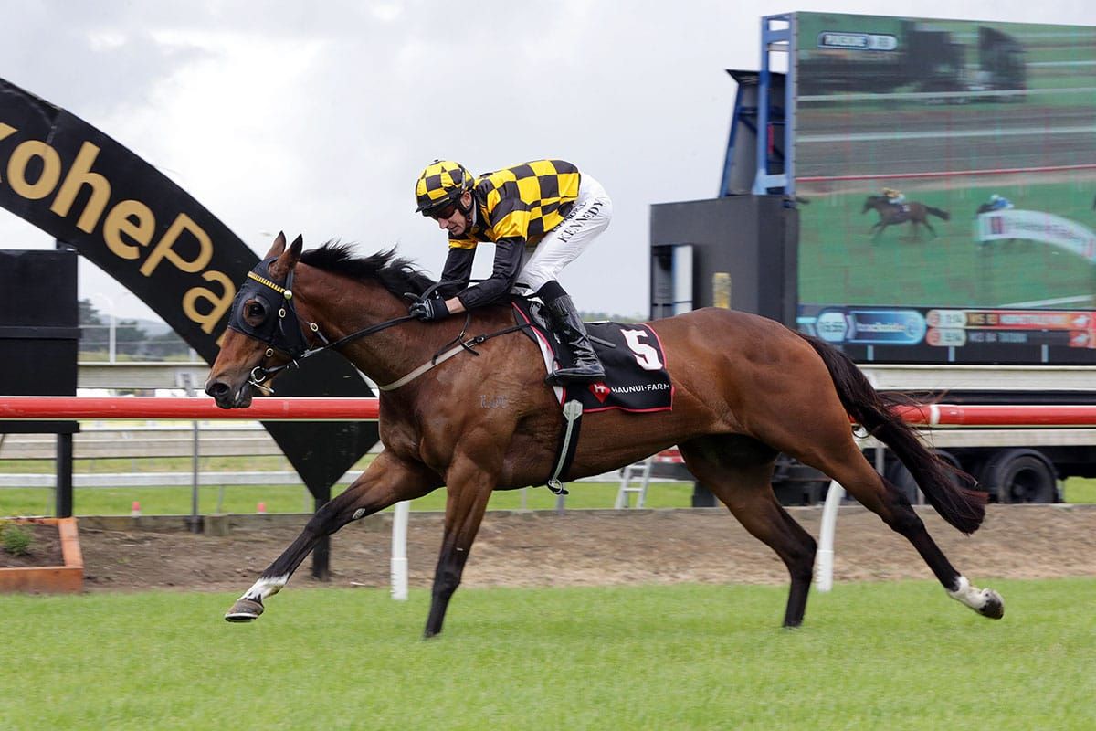 Letzbeglam wins incident-packed Counties Bowl