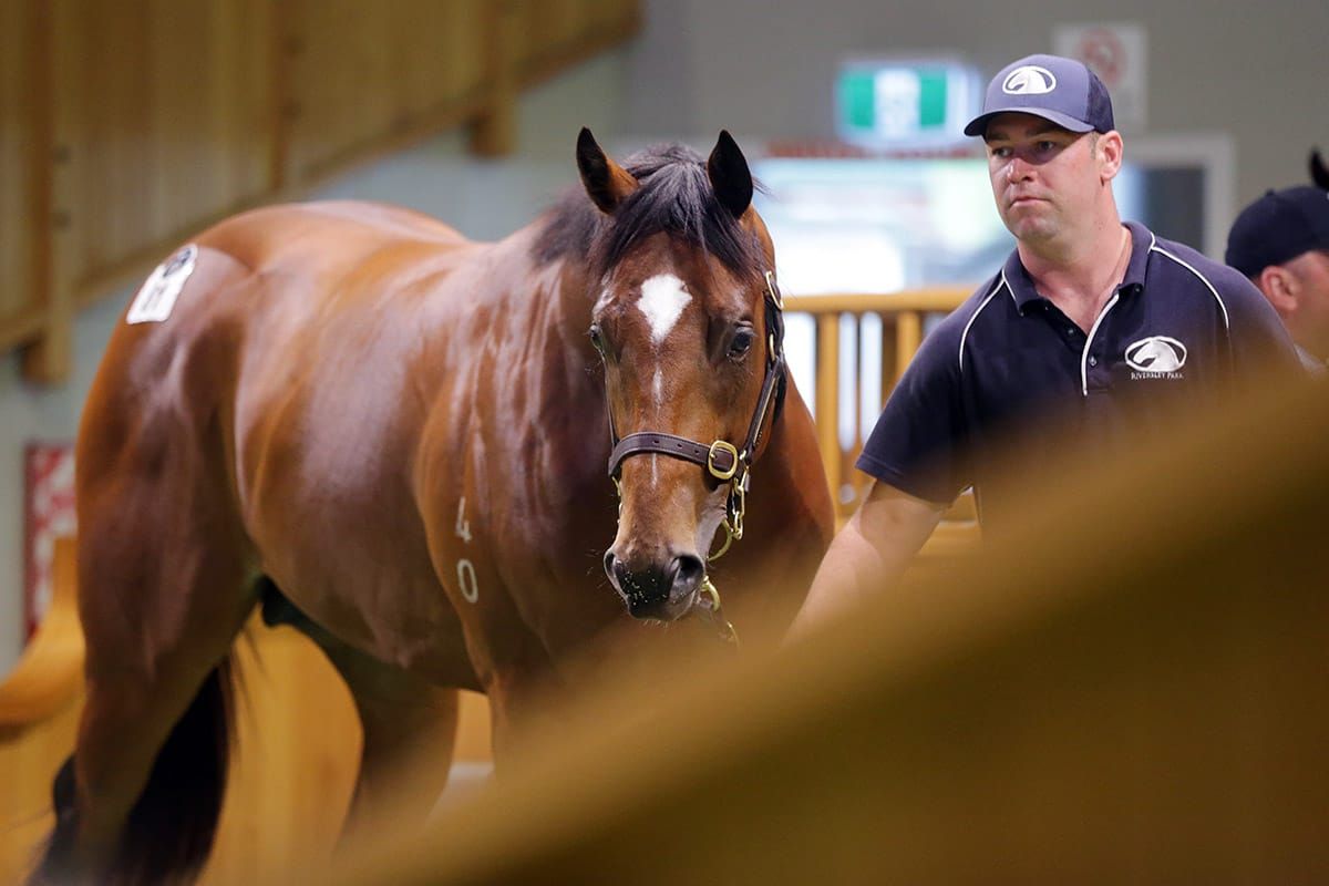 Leung hoping he has struck gold once more at Karaka