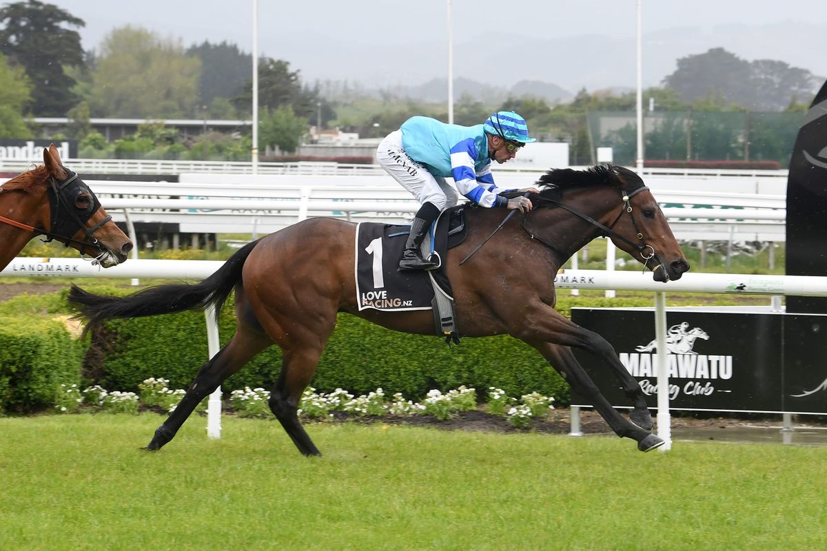 <strong>Smart 3YO partnership’s latest success story</strong>