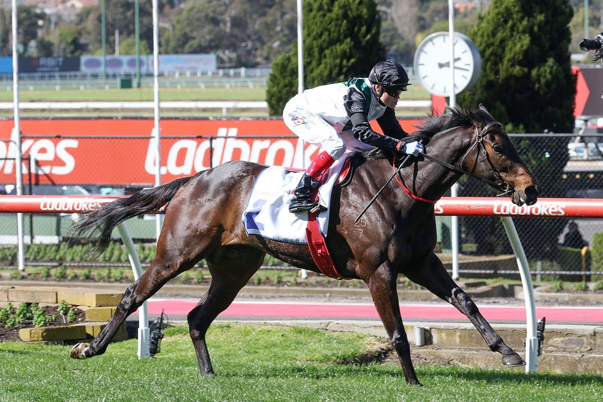 Mr Brightside back to the mile