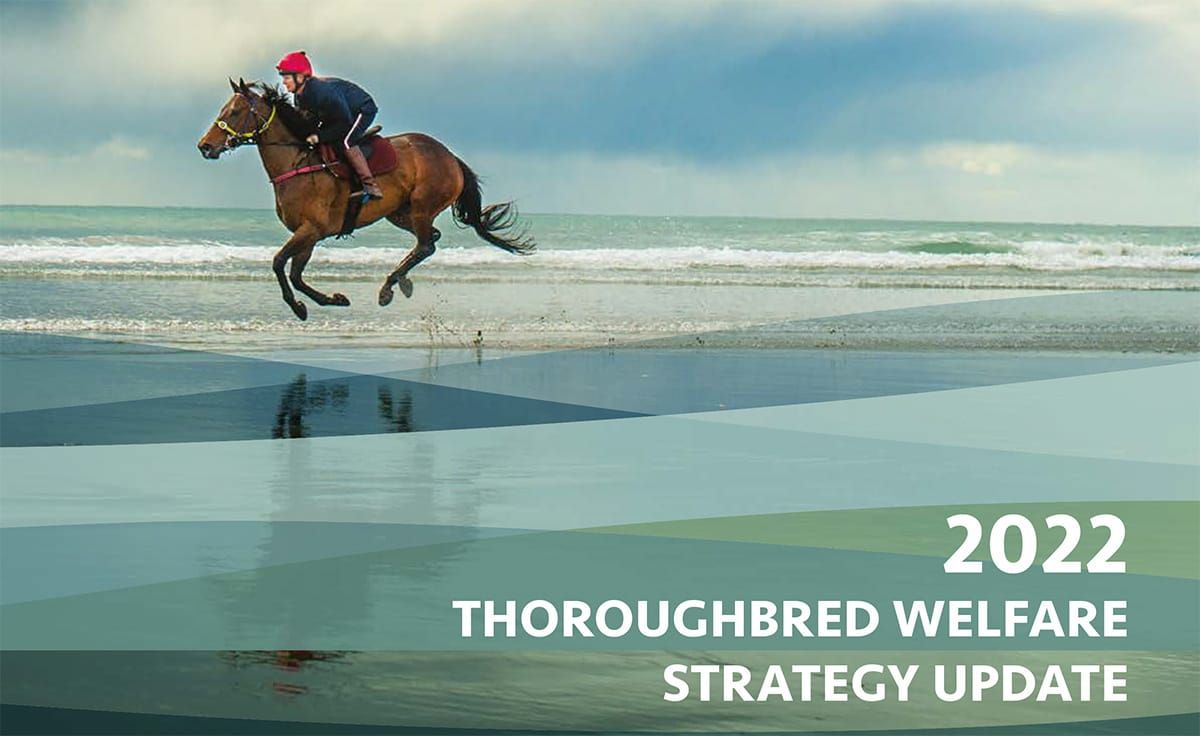 NZTR Thoroughbred Welfare Strategy Update