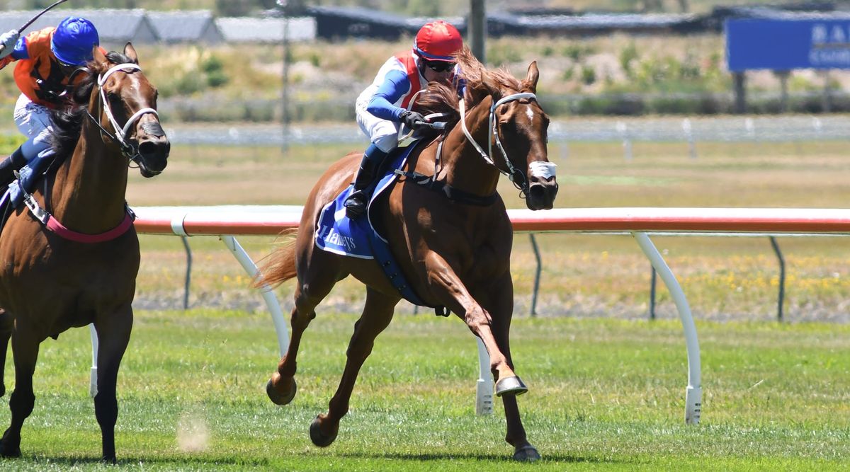 Railway dream resonates with Frye