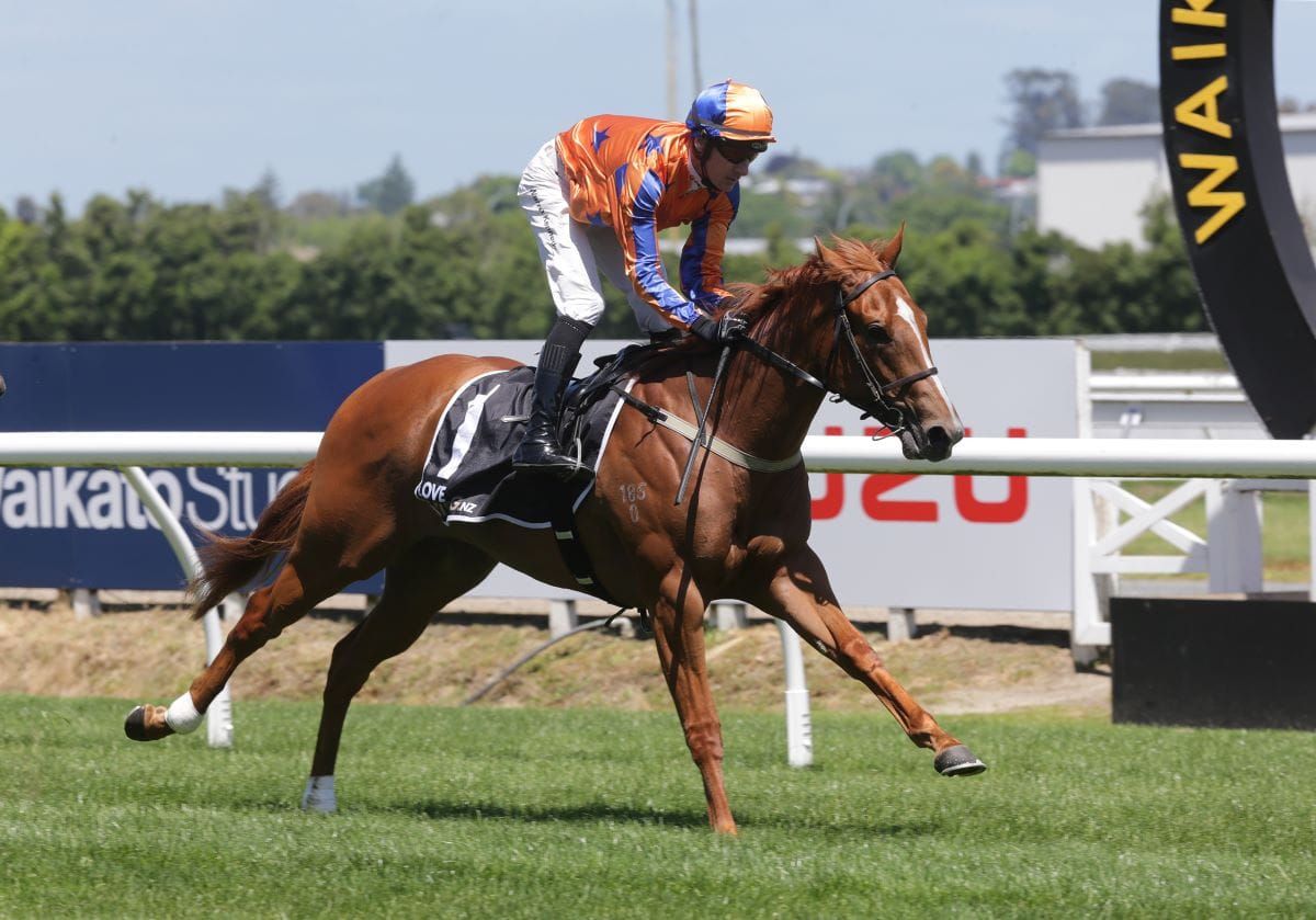<strong>Viva Vienna Karaka Million bound</strong>