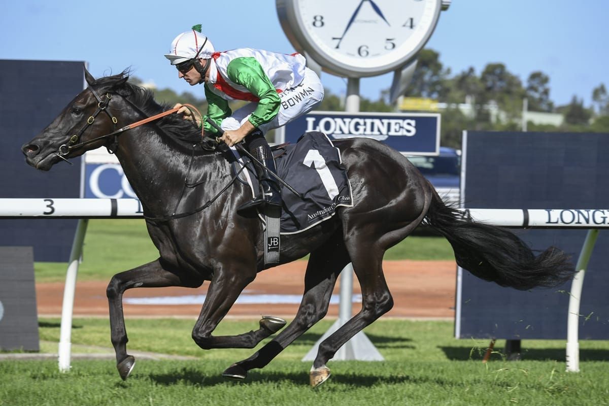 Australian autumn features on the cards for Aegon