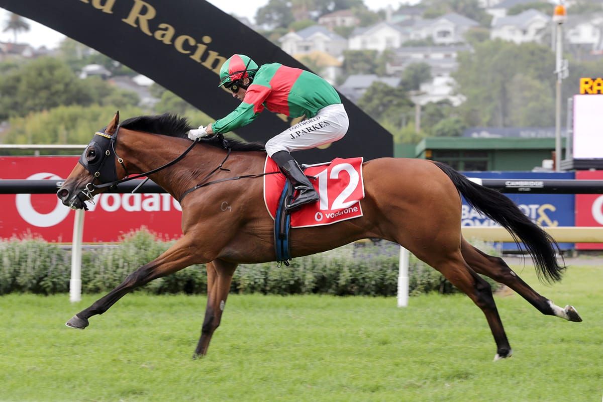 <strong>Bonecrusher hope in line for Sydney</strong>