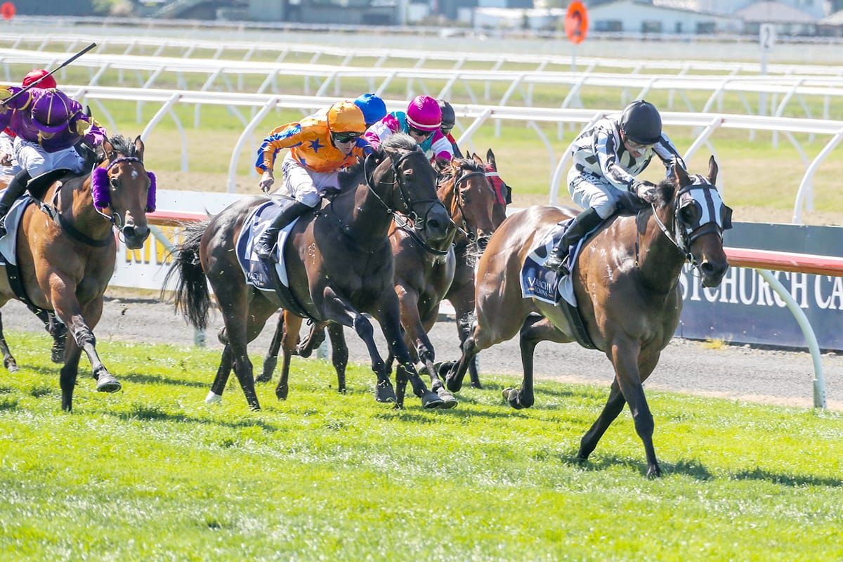 Stakes quality and quantity for Latta