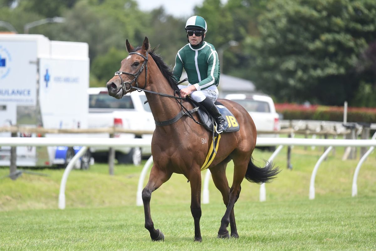 Best Seller ready to return at Trentham