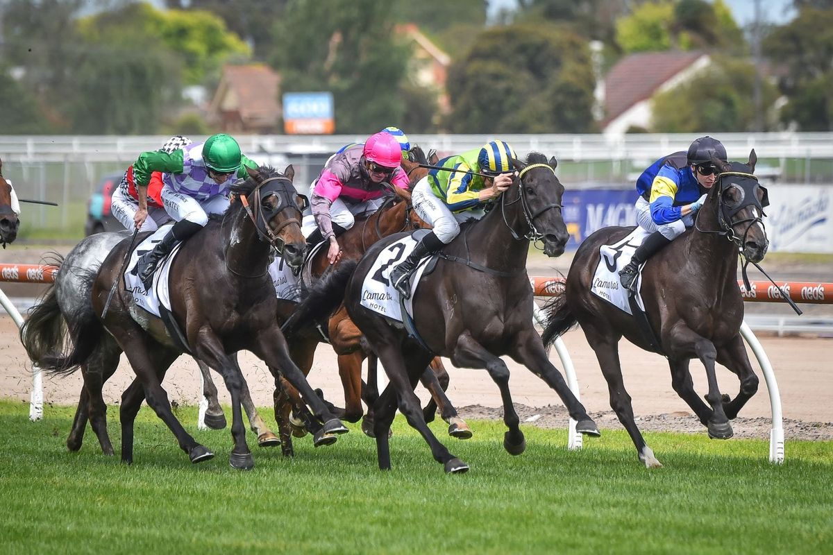 Sandown call for El Gladiador