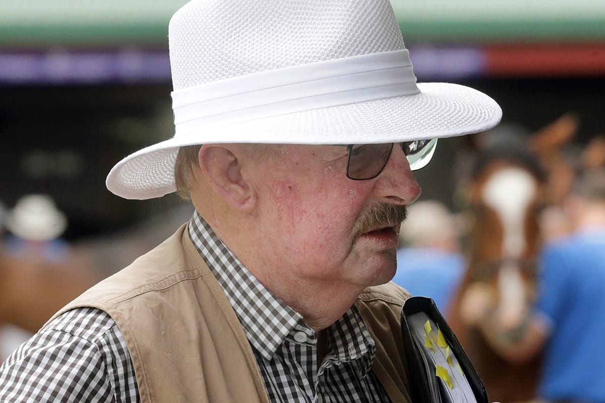 2023 Stuart Hale AUCKLAND/WAIKATO YEARLING Tour