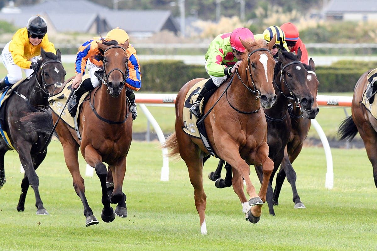 Impendabelle proves too tough at Trentham