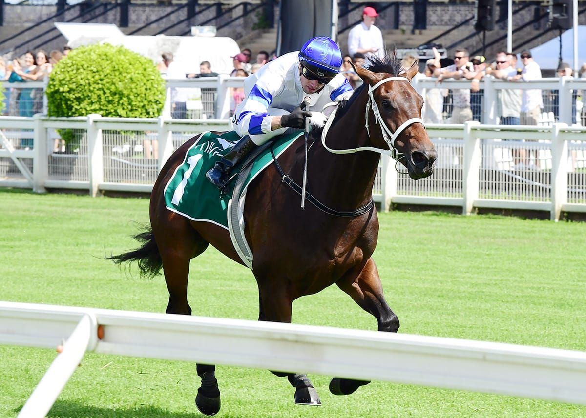 Kovalica fighting fit for Zaaki clash