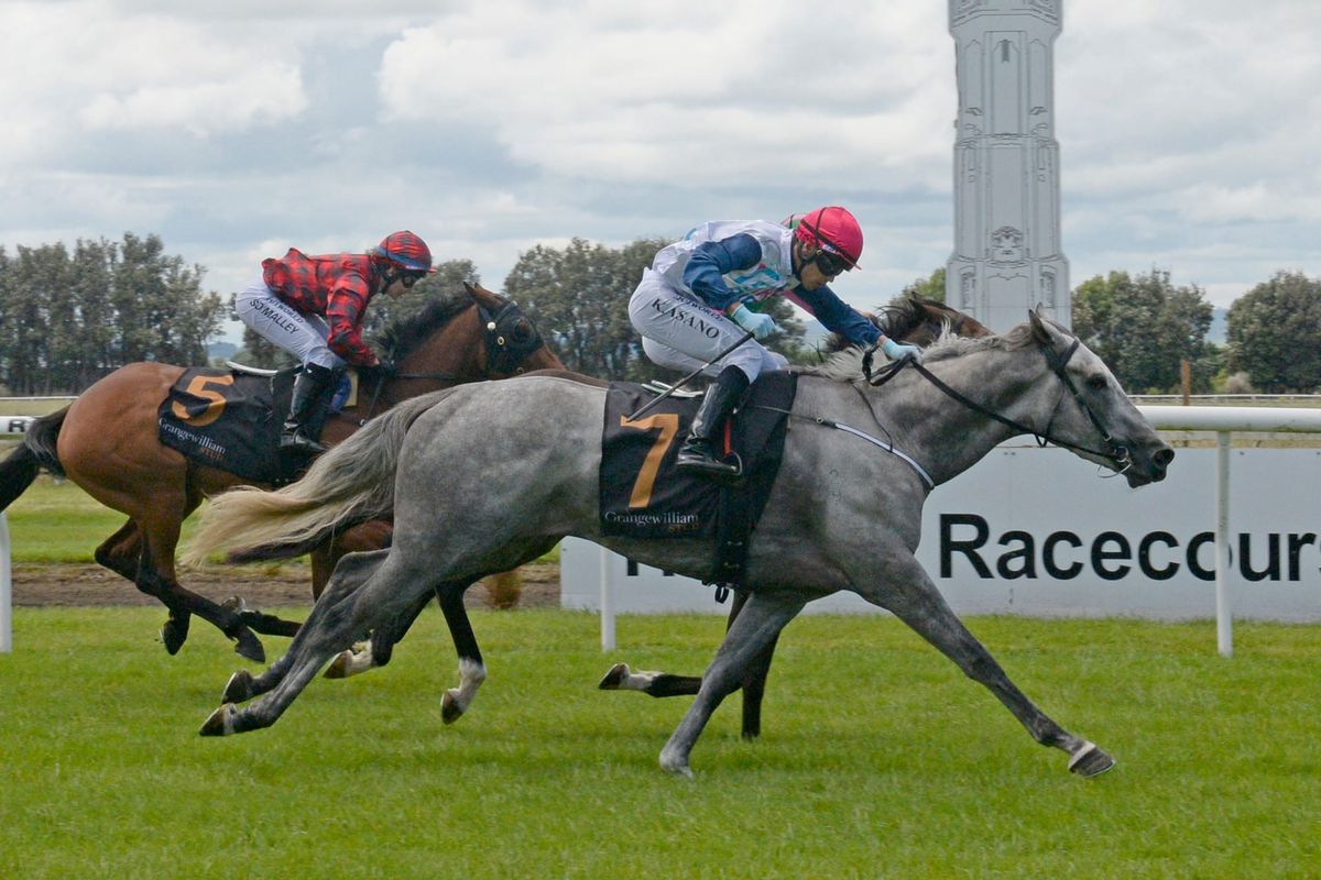 <strong>Surprise for Foote in Hawera opener</strong>