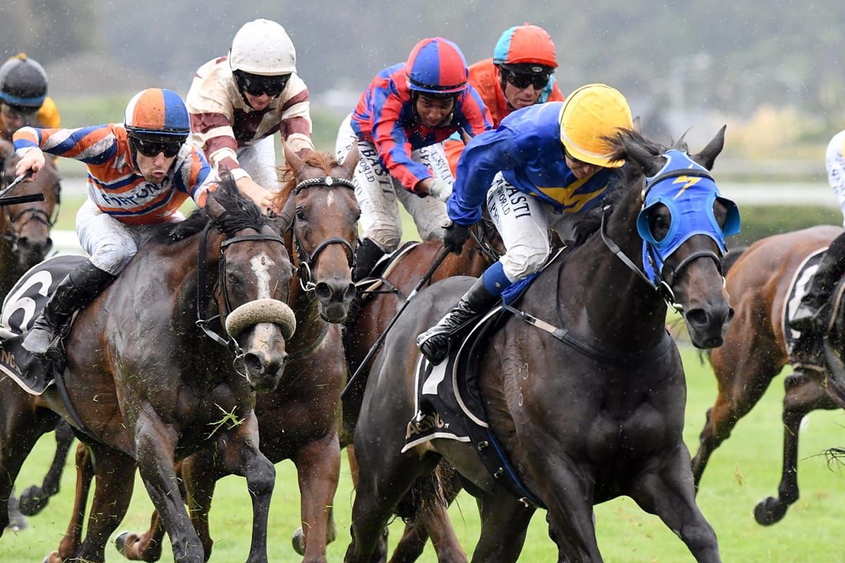 No catching Sagunto in Manawatu Cup