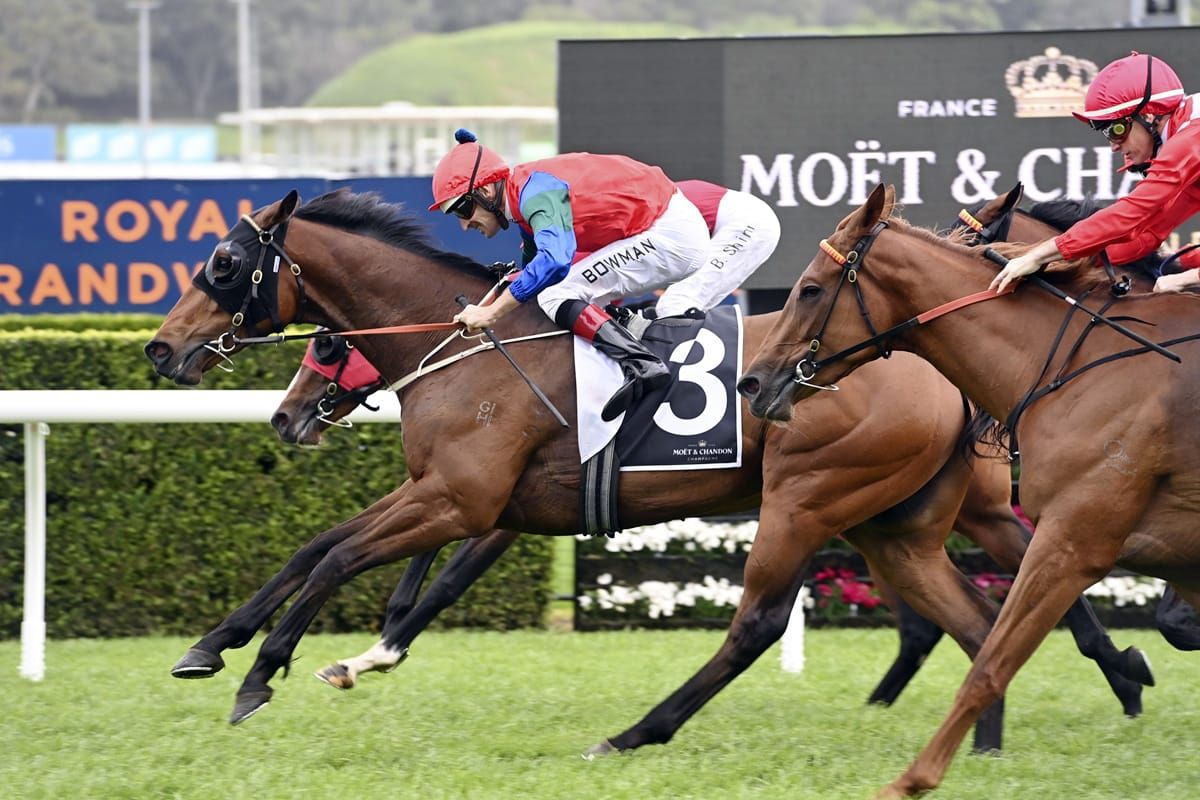 Powerhouse 3YO ready to rumble