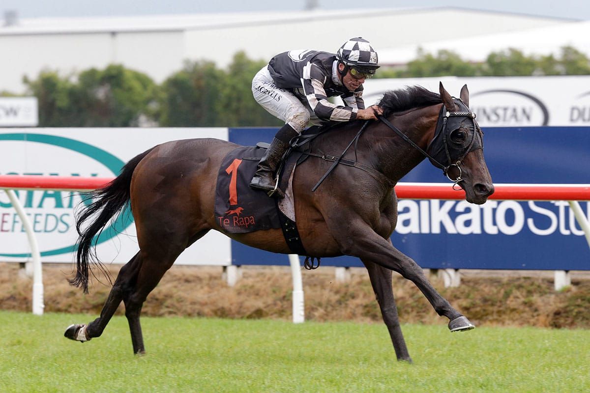 Sinarahma retired