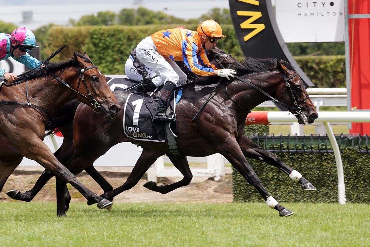 Walker trio out to eclipse juvenile rivals