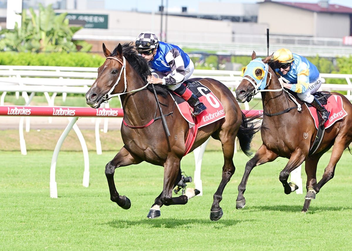 Ucalledit out to extend winning streak in The Buffering