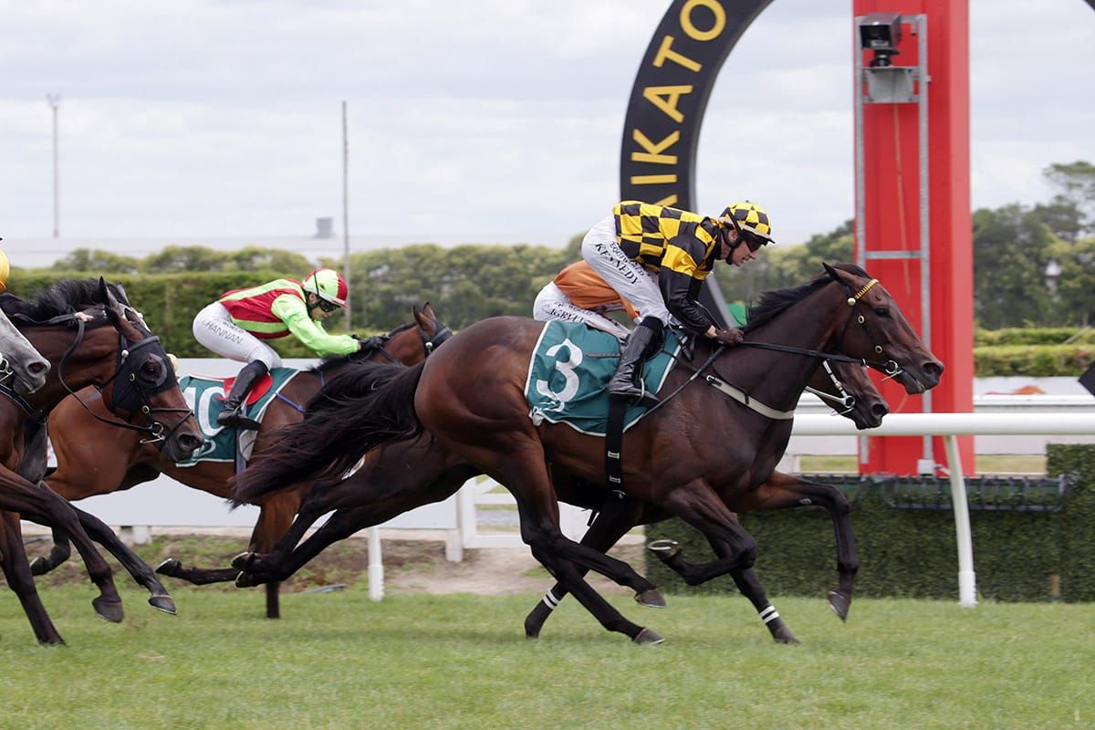 Auckland Cup tilt for Aquacade