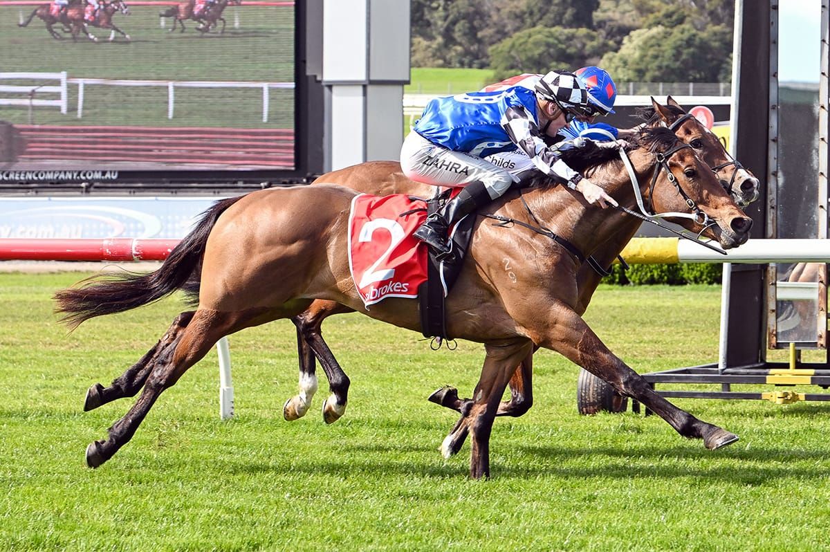 Derby aspirations for Artzino